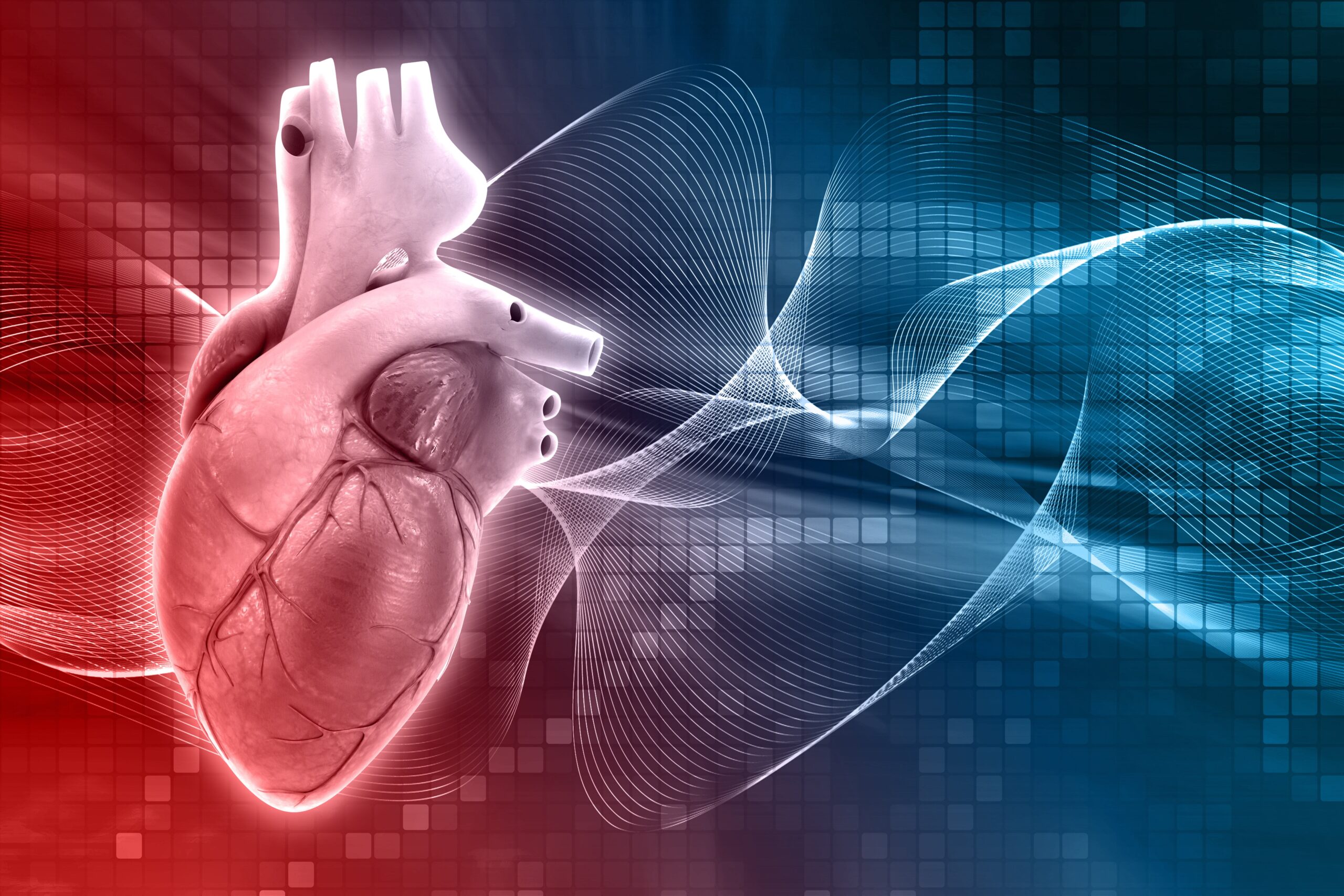 Cardiology | Best Cardiologists in Lahore, Pakistan - Shalamar ...