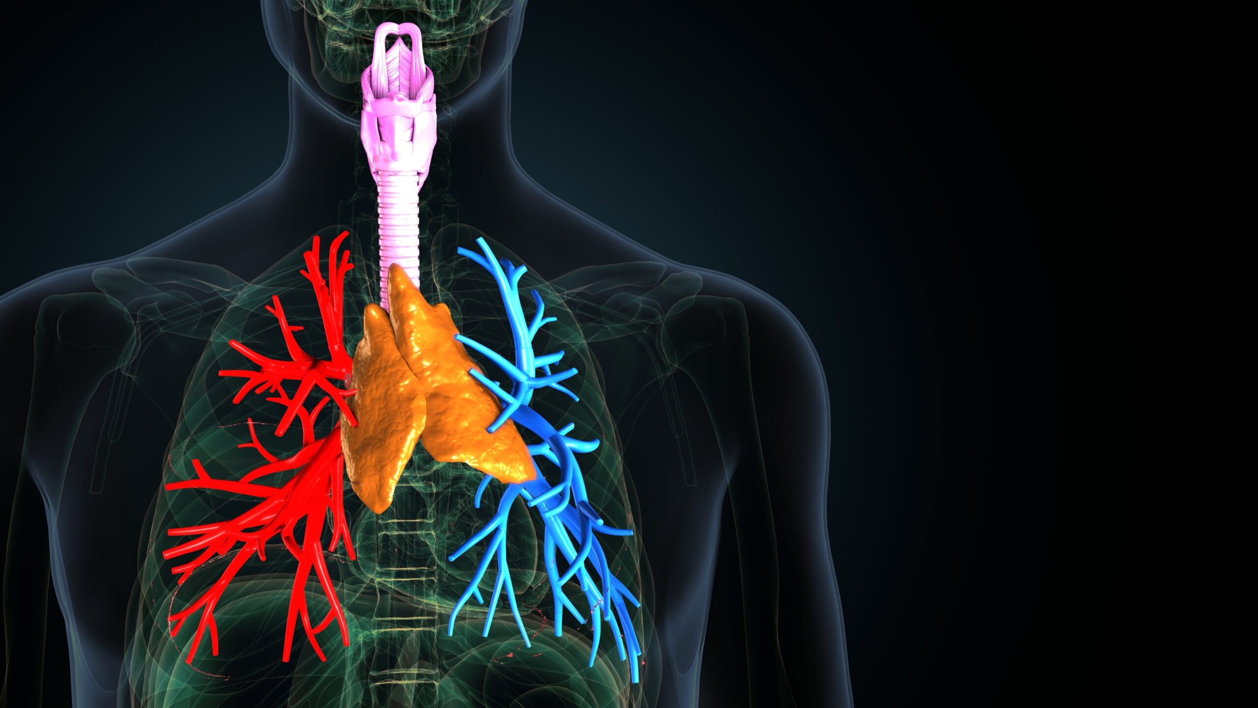 Pulmonology